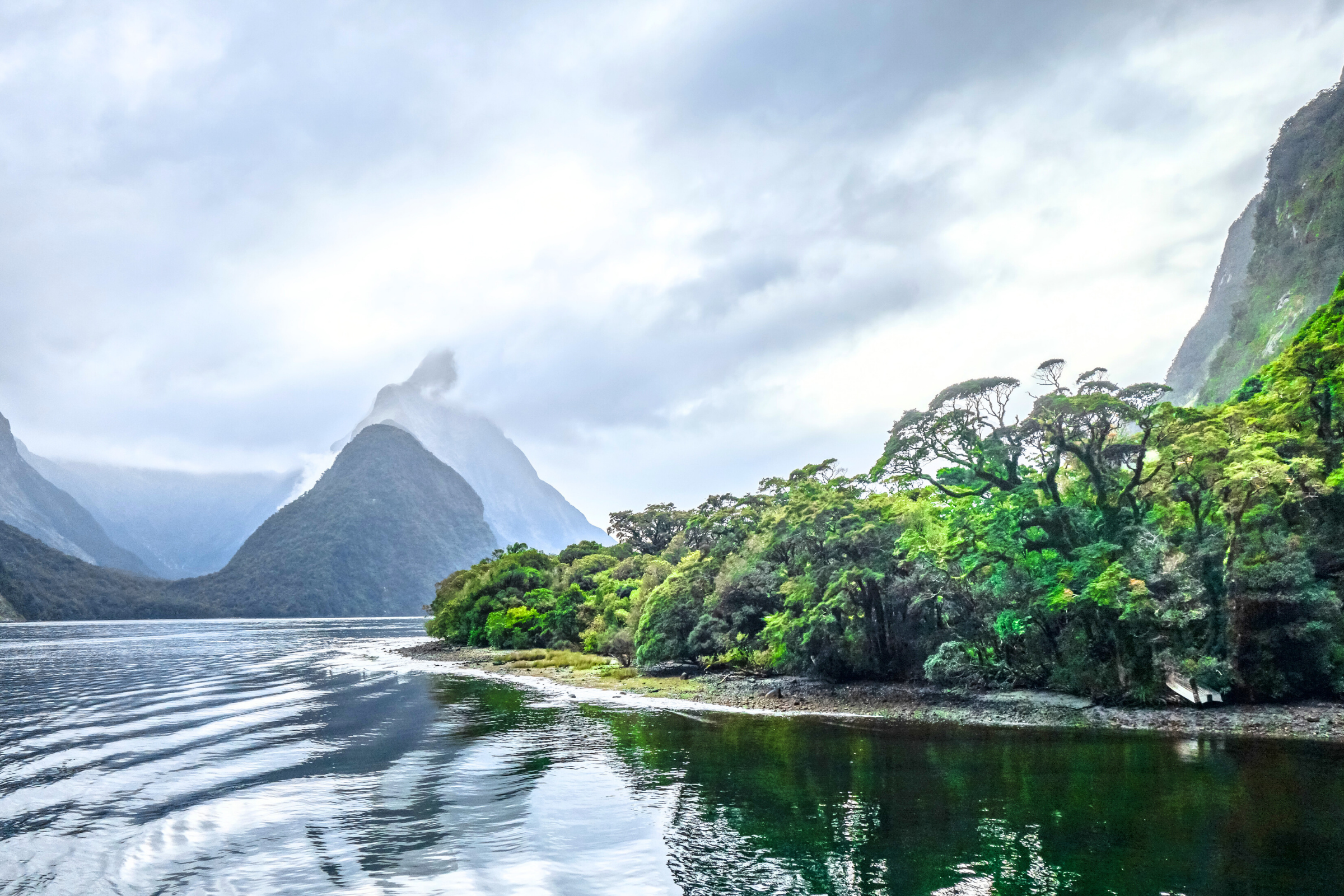 supper cove, fiordland national park (4).webp